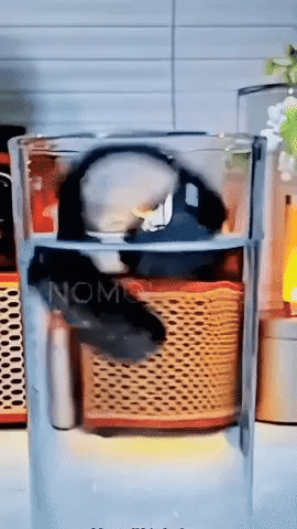 55h de Musique Non-Stop, Appels Cristallins & Confort Total – Découvrez les Écouteurs qui Changent Tout 🎧