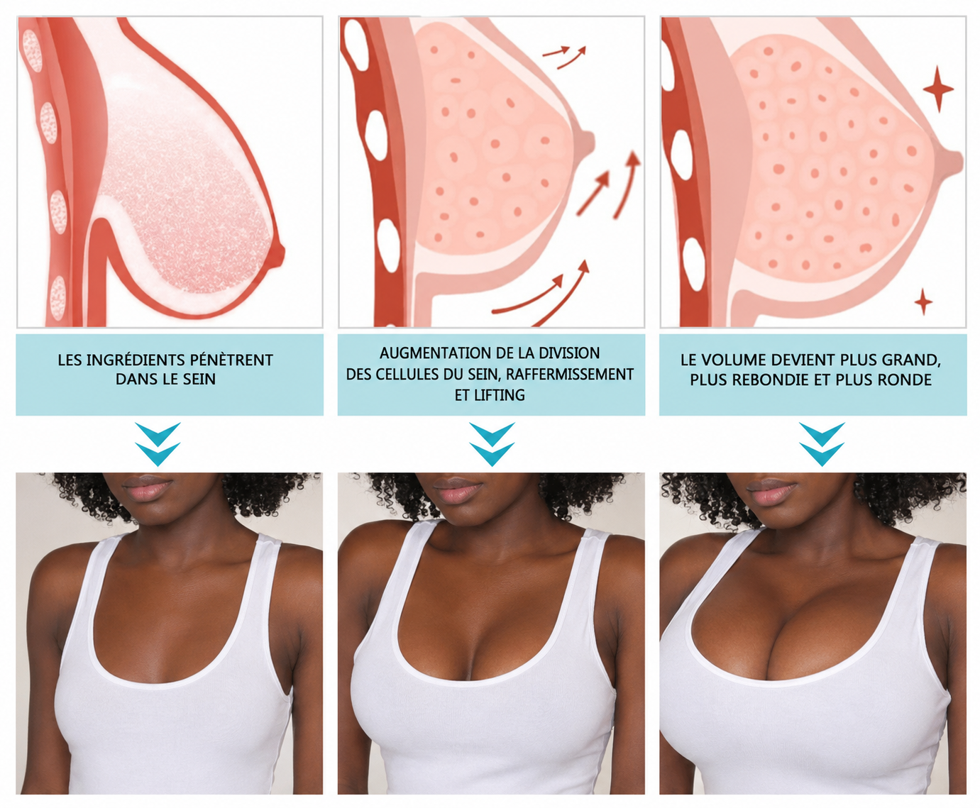 Crème Raffermissante et Galbante pour les seins