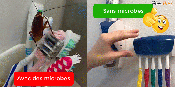 Distributeur Automatique de Dentifrice