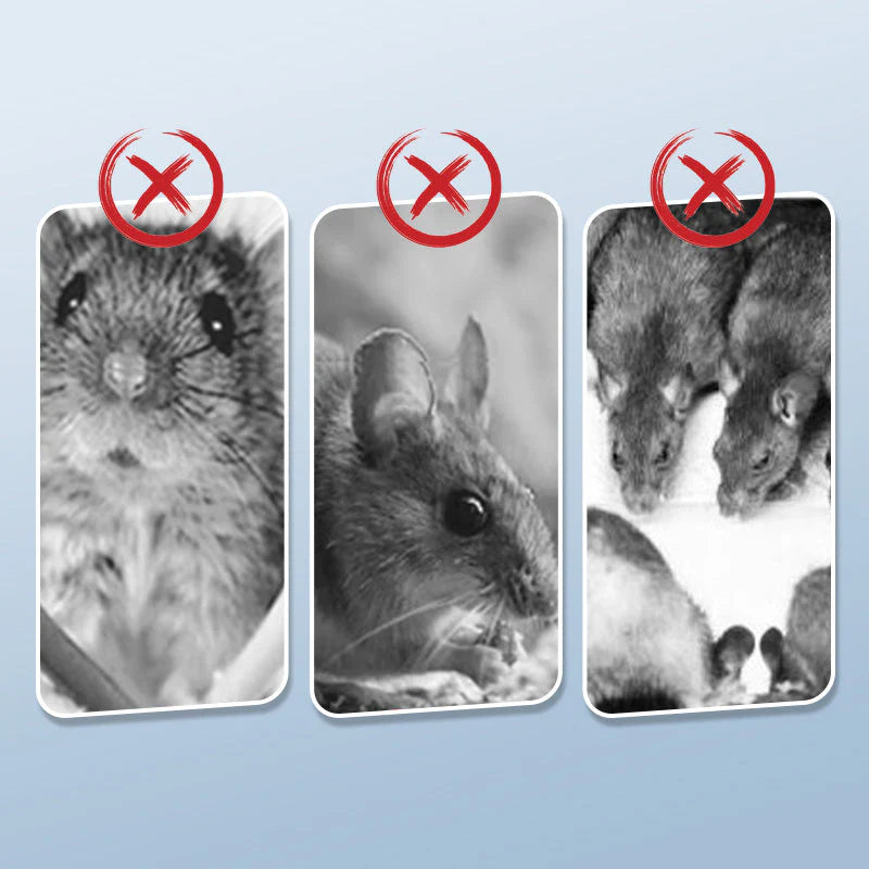 Piège à souris Réutilisable avec Déclencheur Haute Sensibilité